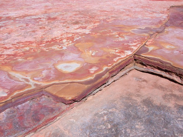 Gantheaume Point